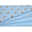 Cotton 100% small cheetahs on a blue background, poplin