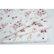 Premium 100% cotton heather apple blossoms on a white background DP