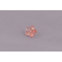 Button flower coral transparent