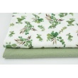 Cotton 100% plumeti eucalyptus