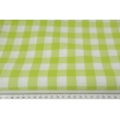 Cotton 100% double-sided light green vichy check 2cm