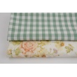 Cotton 100% double-sided, vichy check, eucalyptus, 1cm