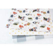 Fabric bundles No. 3009 AB 90cm