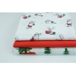 Fabric bundles No. 1768 AB 90cm