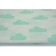 Cotton 100% mint clouds on a white background